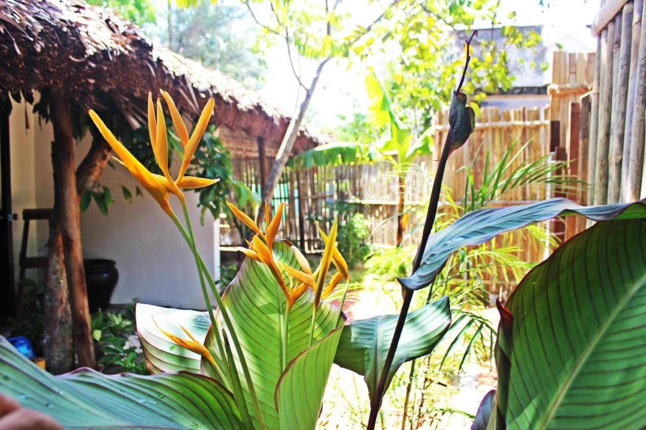 An Bang Purple Homestay Hội An Extérieur photo