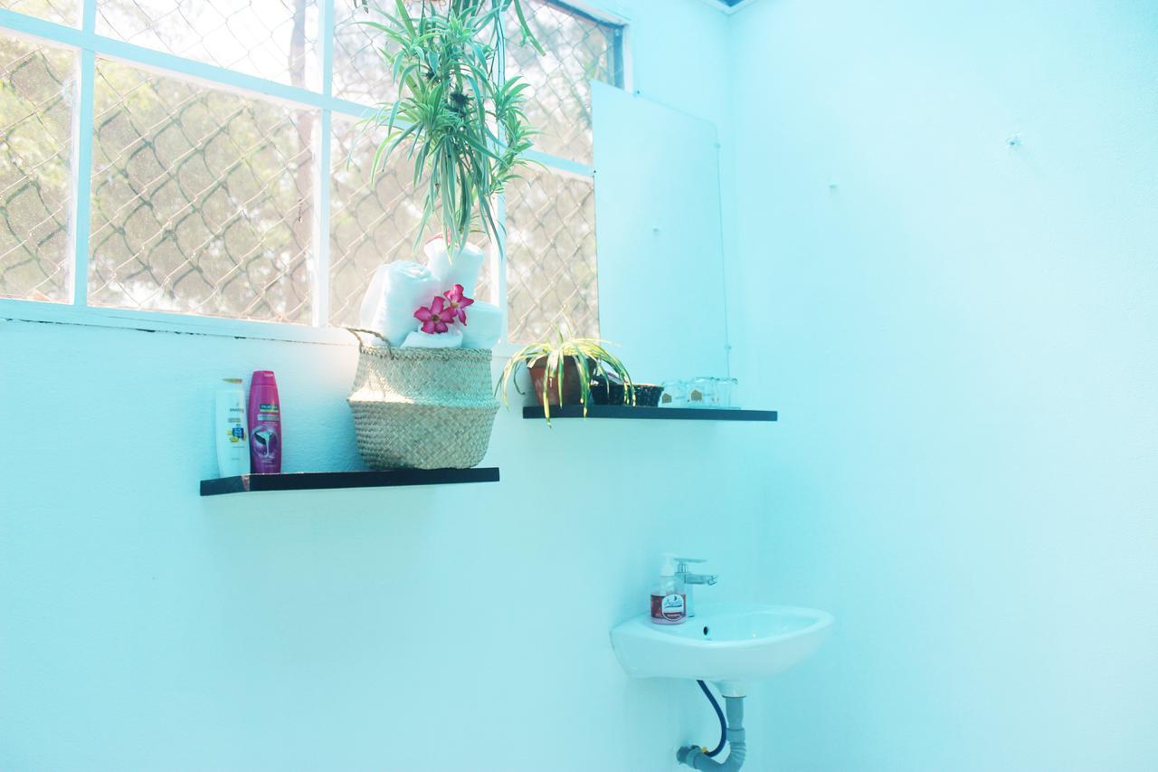 An Bang Purple Homestay Hội An Extérieur photo